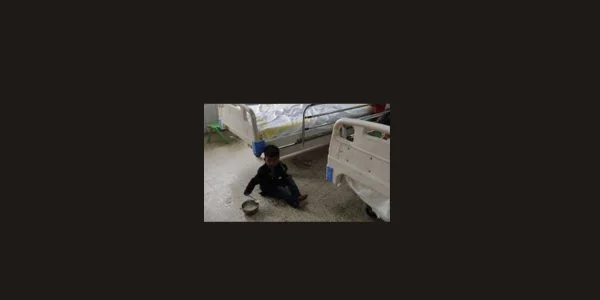 every year 100 innocent children are dying in lakhisarai