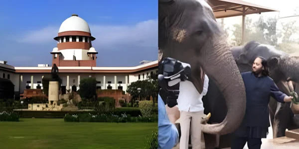 vanatara scam and the legal crackdown on ambani multi billion rupee business in the name of animal conservation
